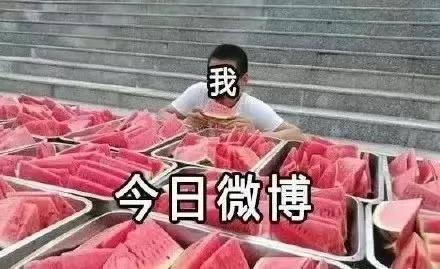 成都吃瓜网红有哪些人,成都网红吃瓜界的风云人物  第3张