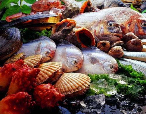 海鲜市场 爆料怎么做视频,揭秘幕后交易与新鲜资讯  第2张