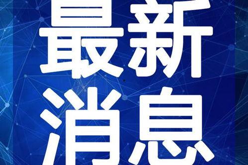贾青综艺爆料最新消息视频,揭秘娱乐圈不为人知的幕后故事  第3张